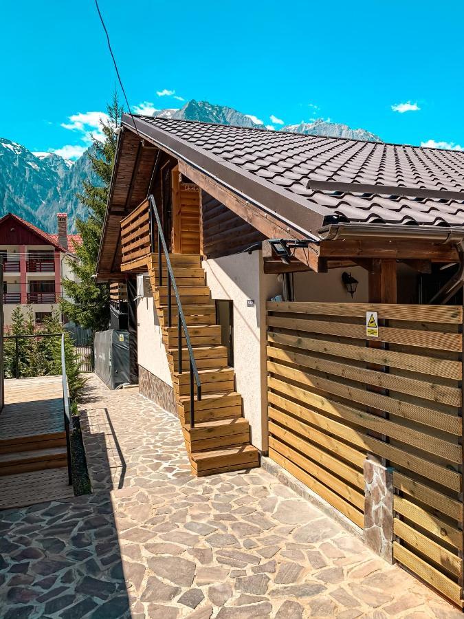 Moon Montana Buşteni Eksteriør bilde