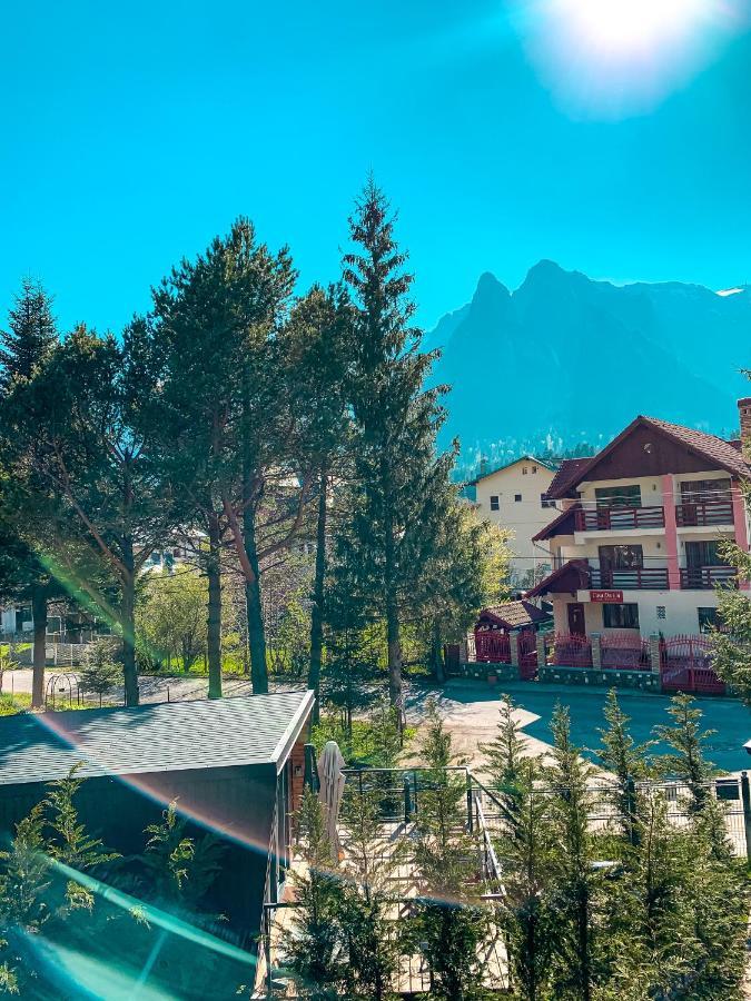 Moon Montana Buşteni Eksteriør bilde