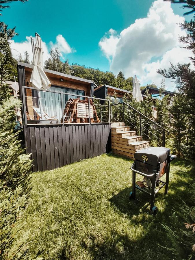 Moon Montana Buşteni Rom bilde
